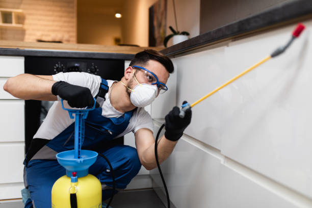 Best Flea Control Services  in Redwood, OR