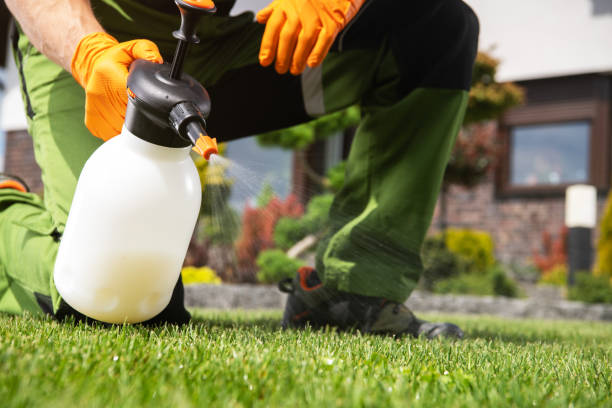 Flea Control Services in Redwood, OR