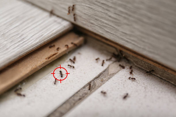 Best Residential Pest Control  in Redwood, OR
