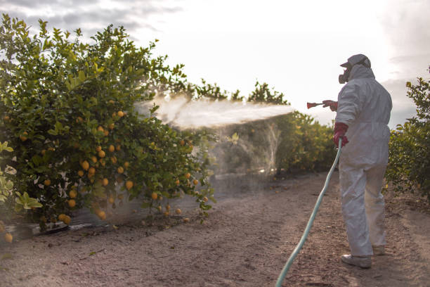 Best Best Pest Control Companies  in Redwood, OR