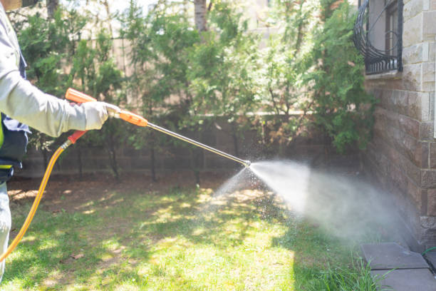 Best Pest Prevention Services  in Redwood, OR