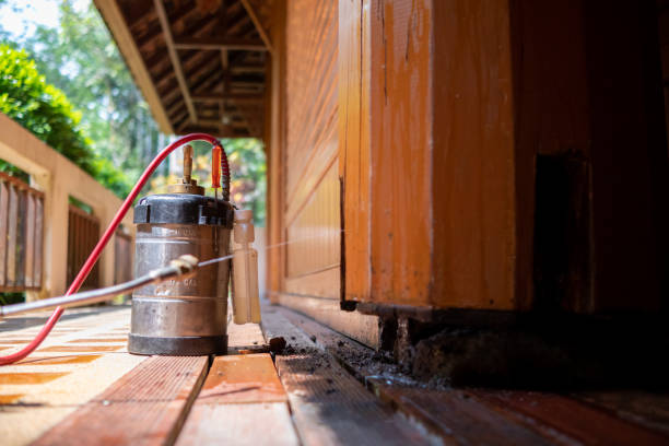 Best Best Pest Control Companies  in Redwood, OR
