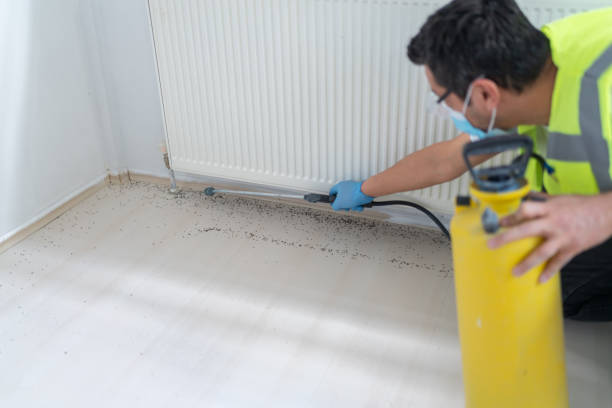 Best Affordable Pest Control Services  in Redwood, OR
