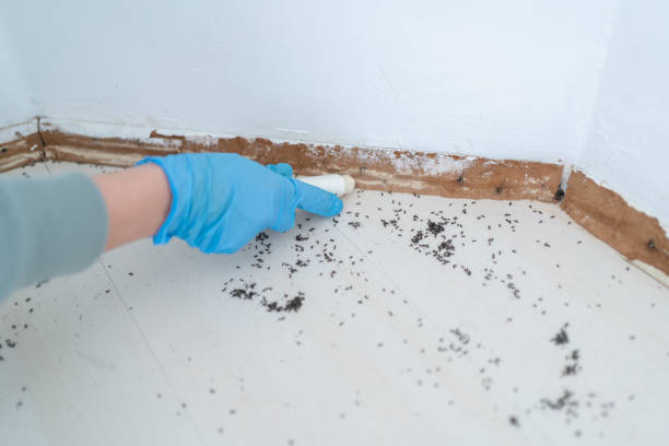 Best Exterminator Services  in Redwood, OR