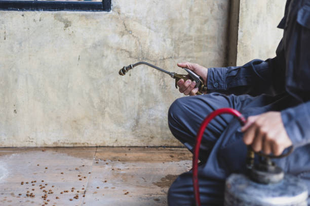 Best Wasp Removal Services  in Redwood, OR
